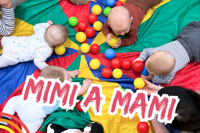 Mimi a mami